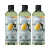Itinera – Shampoo Sebo Regolatore 3 Pack X 370 ml