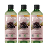 Itinera – Volumen und Curl Shampoo 3 Pack X 370 ml