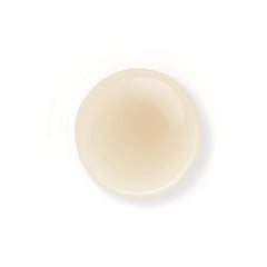 The Rerum Natura Champú Certificado Bio (380 ml)