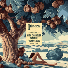 Itinera Spülung Brillante Farbe (370 ml)