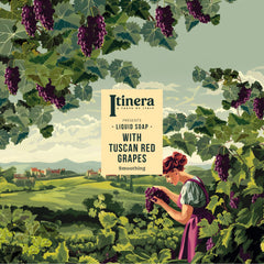 Itinera Flüssigseife Glättende (370 ml)