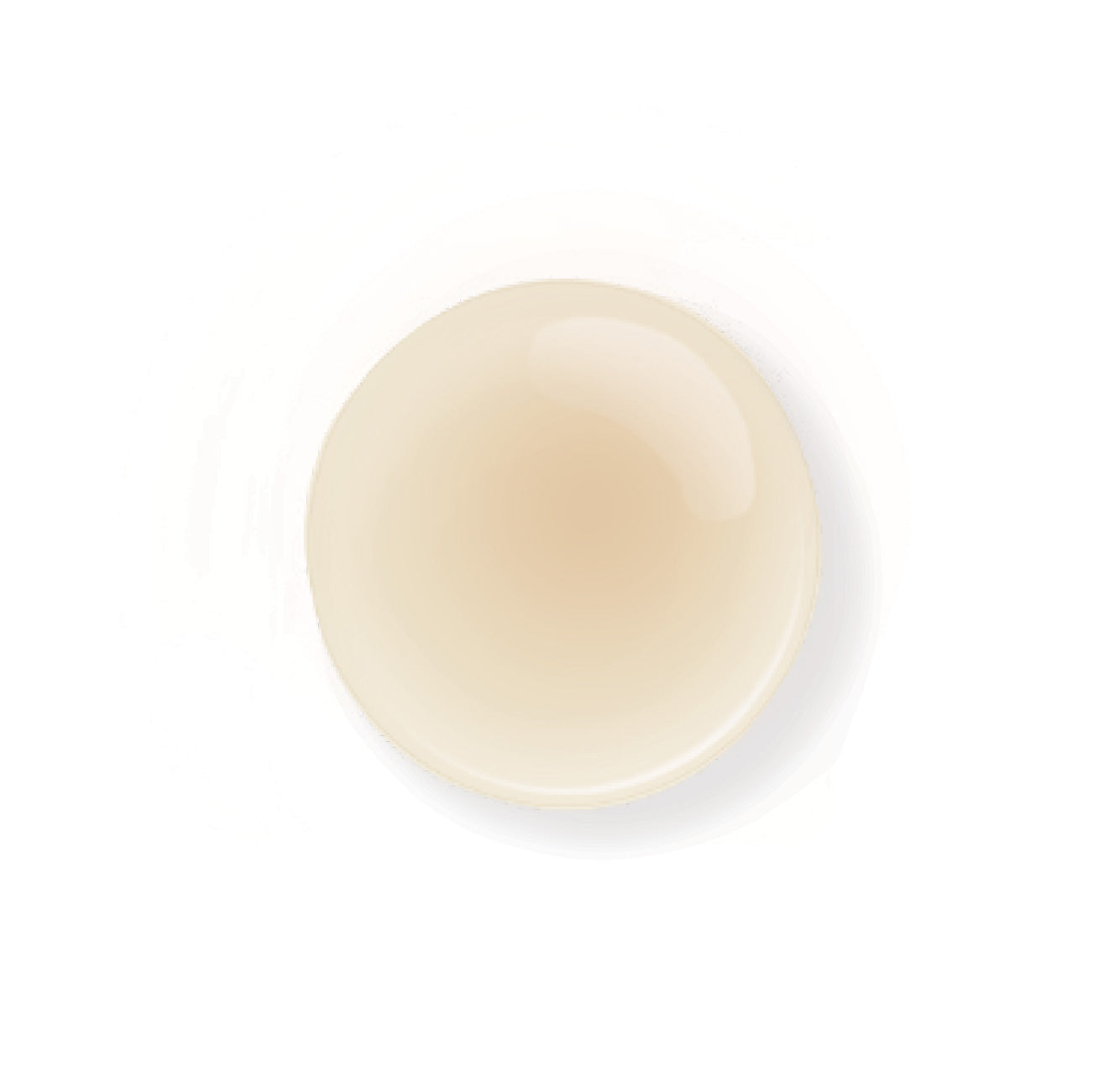 The Rerum Natura Le Shampooing Certifié Bio (100 ml)