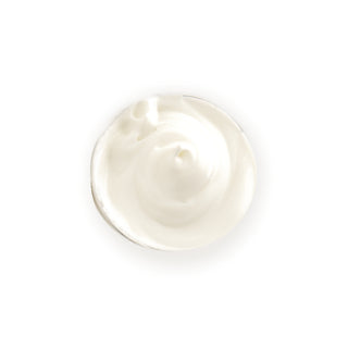 Prija Protective Conditioner 4